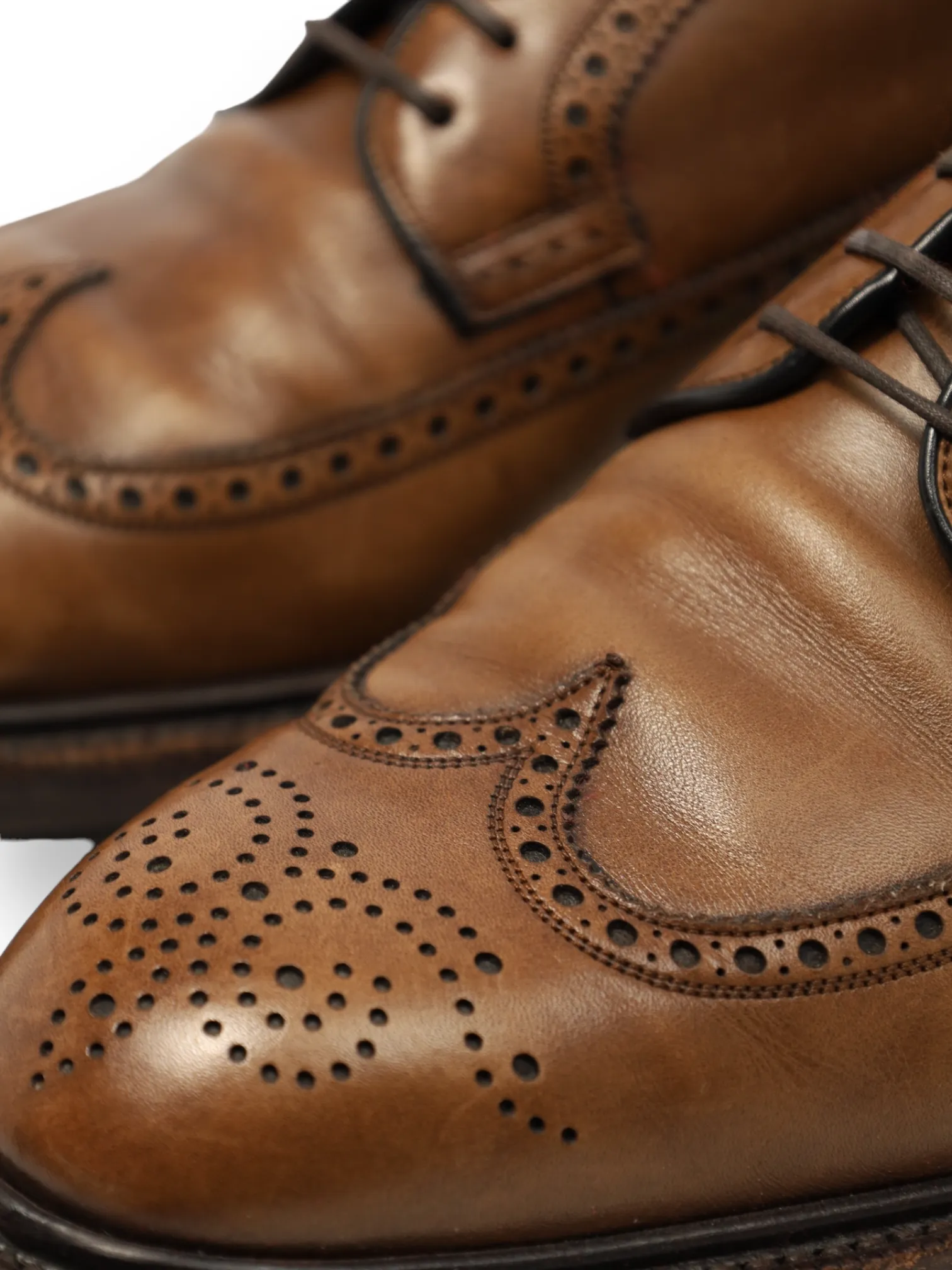 Carmina Brown Derby Brogue Lace-ups
