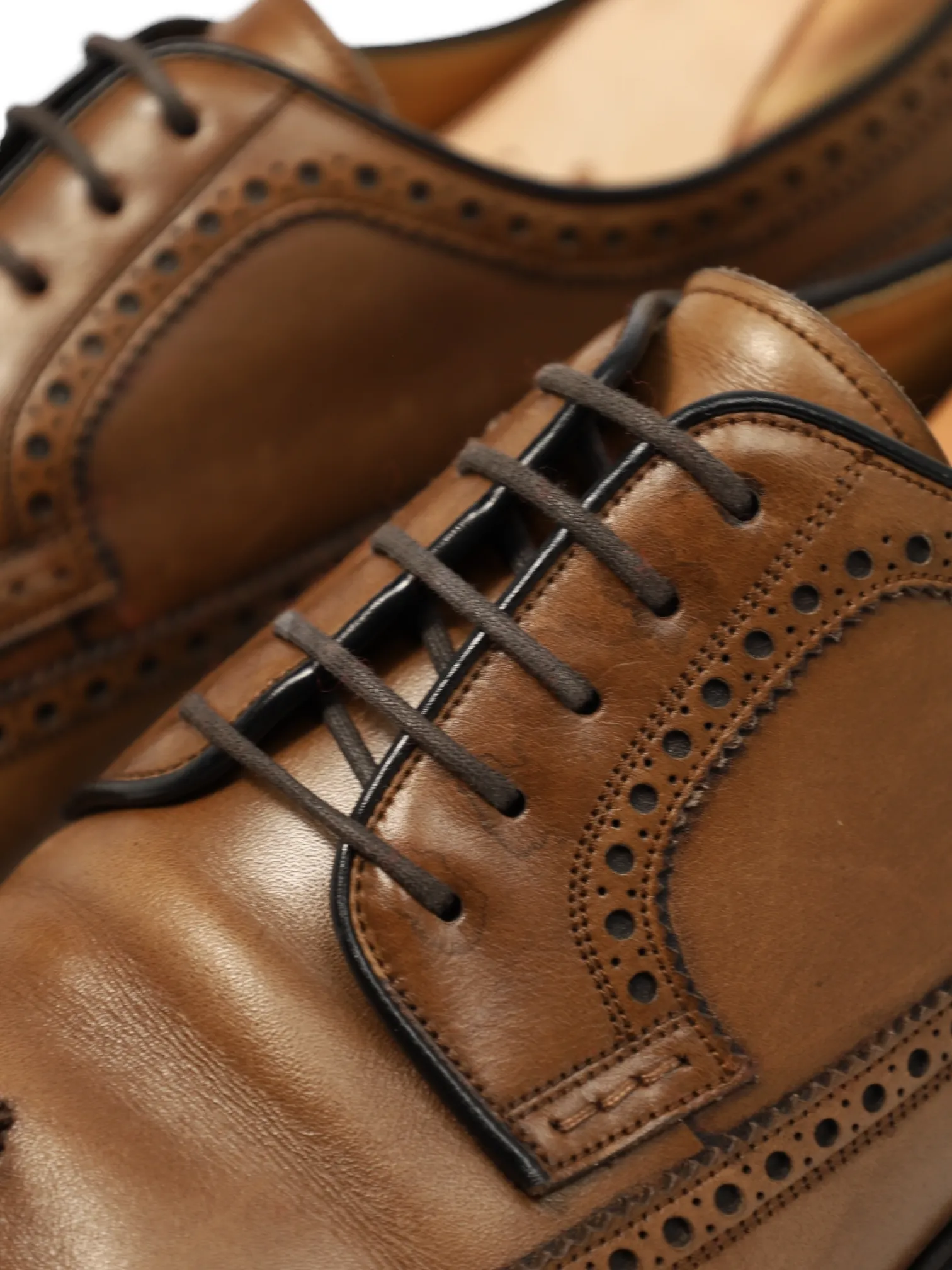 Carmina Brown Derby Brogue Lace-ups