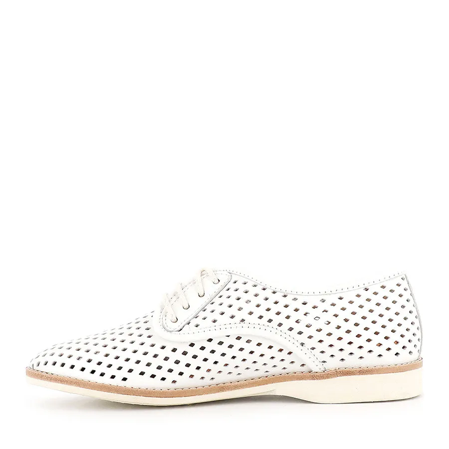 DERBY PUNCH - WHITE LEATHER