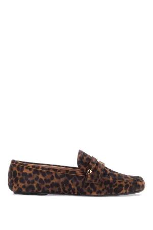 giorgia loa G25314 05GOM VLU LEOPARD PRINT