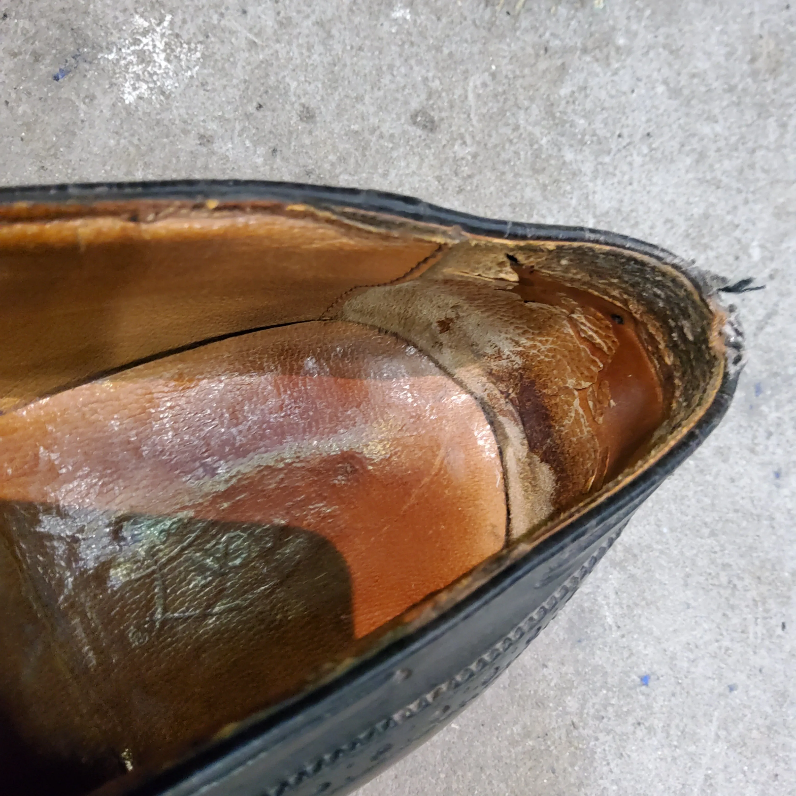 Moccasins