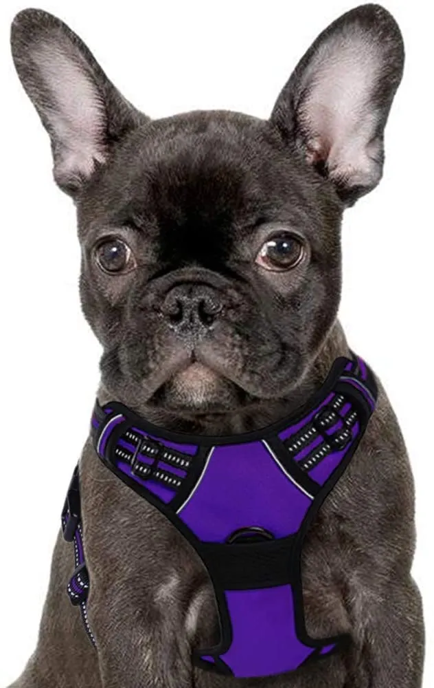 New No Pull Dog Harness with Front Clip, Walking Pet Harness with 2 Metal Ring and Handle Reflective Oxford Padded Soft Vest in Purple, Sz S!