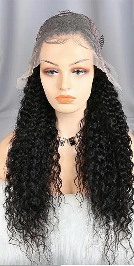 Swiss Lace Brazilian Water Wave Lace Front Wig