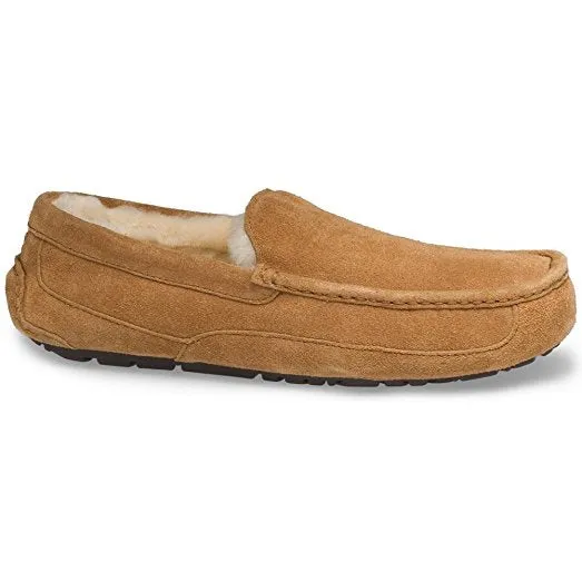 UGG Men's Ascot Slipper | Chestnut
