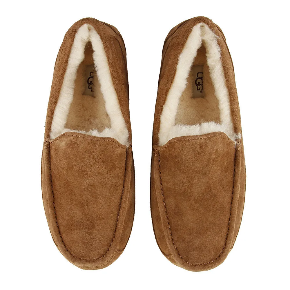 UGG Men's Ascot Slipper | Chestnut